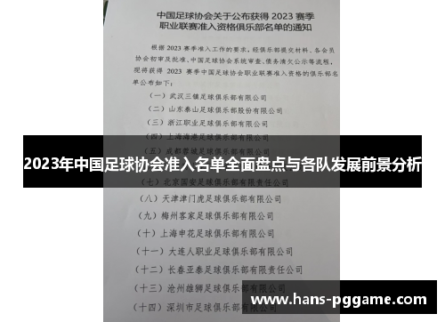2023年中国足球协会准入名单全面盘点与各队发展前景分析
