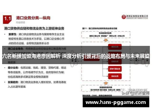 六名新援加盟海港原因解析 深度分析引援背后的战略布局与未来展望