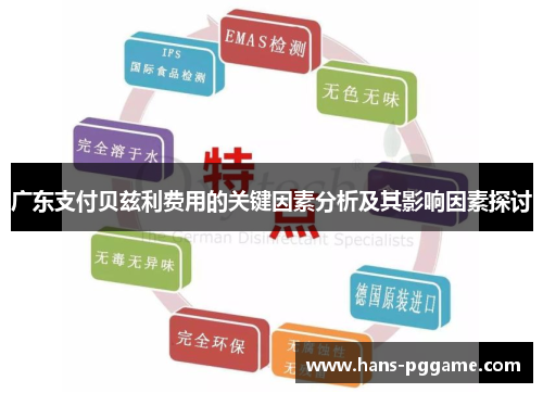 广东支付贝兹利费用的关键因素分析及其影响因素探讨