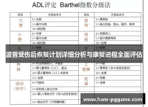 波普受伤后恢复计划详细分析与康复进程全面评估