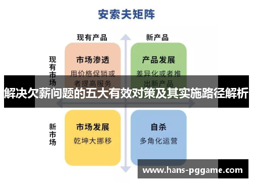 解决欠薪问题的五大有效对策及其实施路径解析