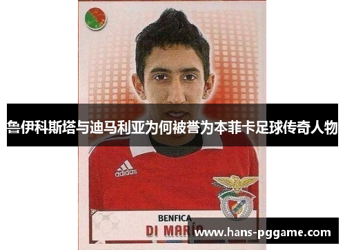 鲁伊科斯塔与迪马利亚为何被誉为本菲卡足球传奇人物