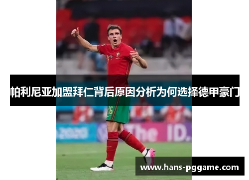 帕利尼亚加盟拜仁背后原因分析为何选择德甲豪门 帕利尼亚加盟拜仁背后原因分析为何选择德甲豪门