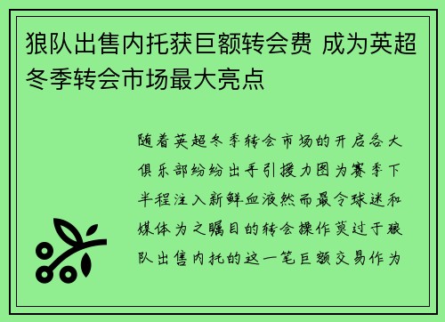 狼队出售内托获巨额转会费 成为英超冬季转会市场最大亮点 狼队出售内托获巨额转会费 成为英超冬季转会市场最大亮点