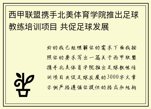 西甲联盟携手北美体育学院推出足球教练培训项目 共促足球发展 西甲联盟携手北美体育学院推出足球教练培训项目 共促足球发展